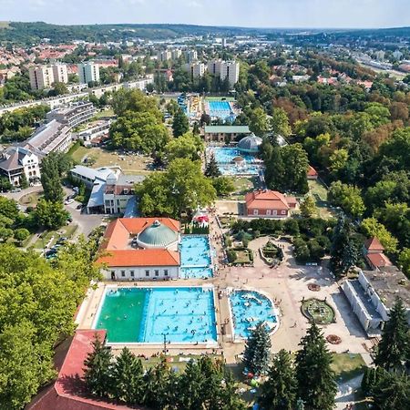 Belvarosi Apartman Eger Bagian luar foto